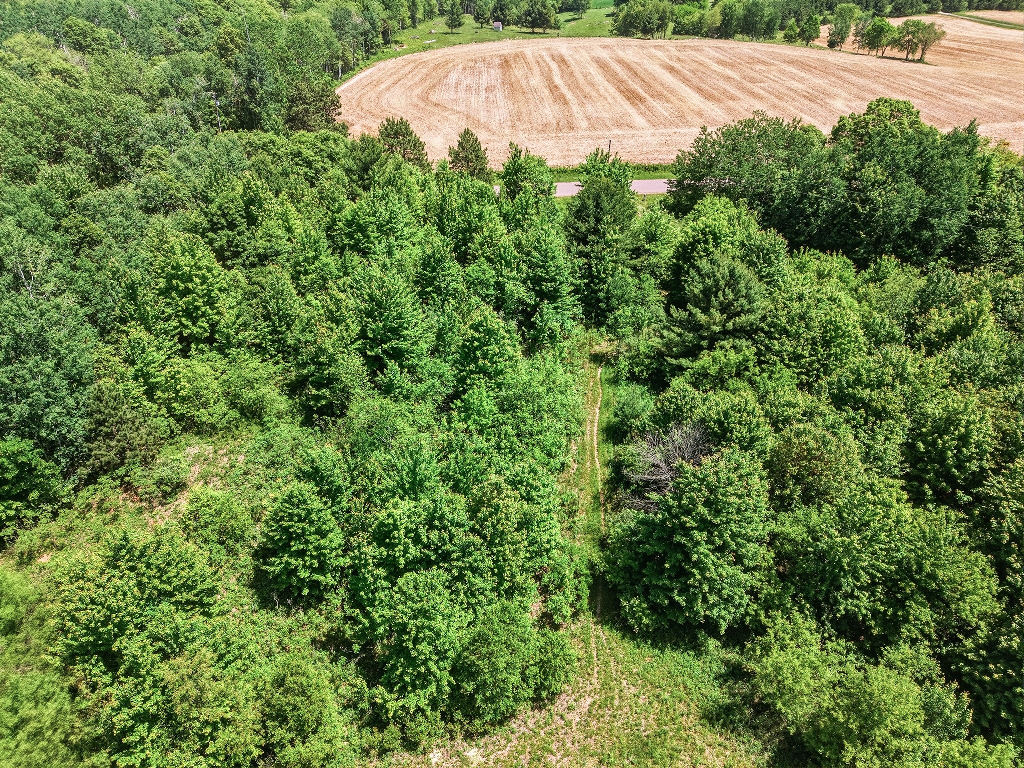 31.69 Acres 80th Avenue Colfax WI 54730 1600517 image17