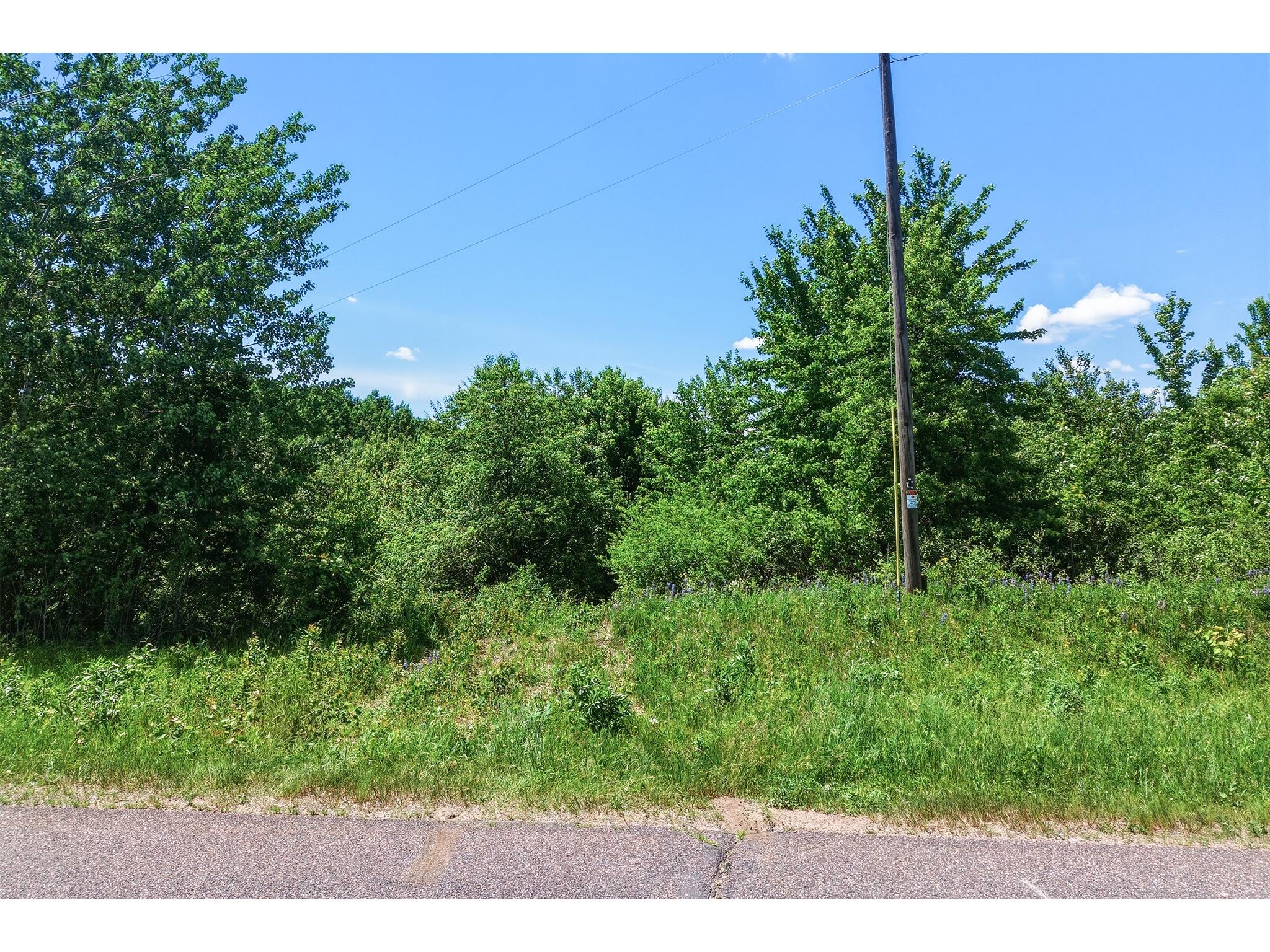 31.69 Acres 80th Avenue Colfax WI 54730 1600517 image18