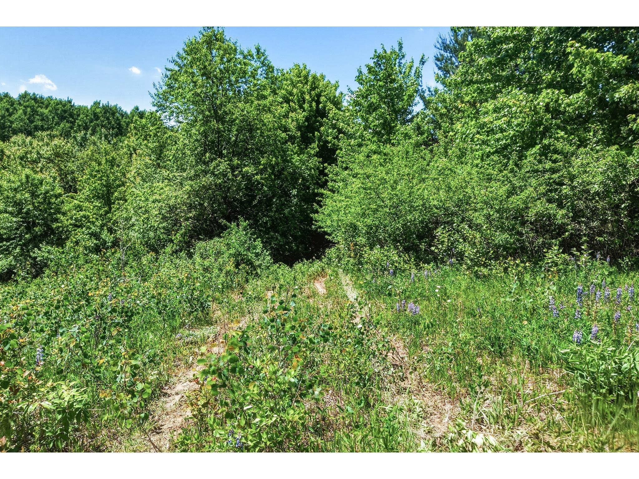 31.69 Acres 80th Avenue Colfax WI 54730 1600517 image20