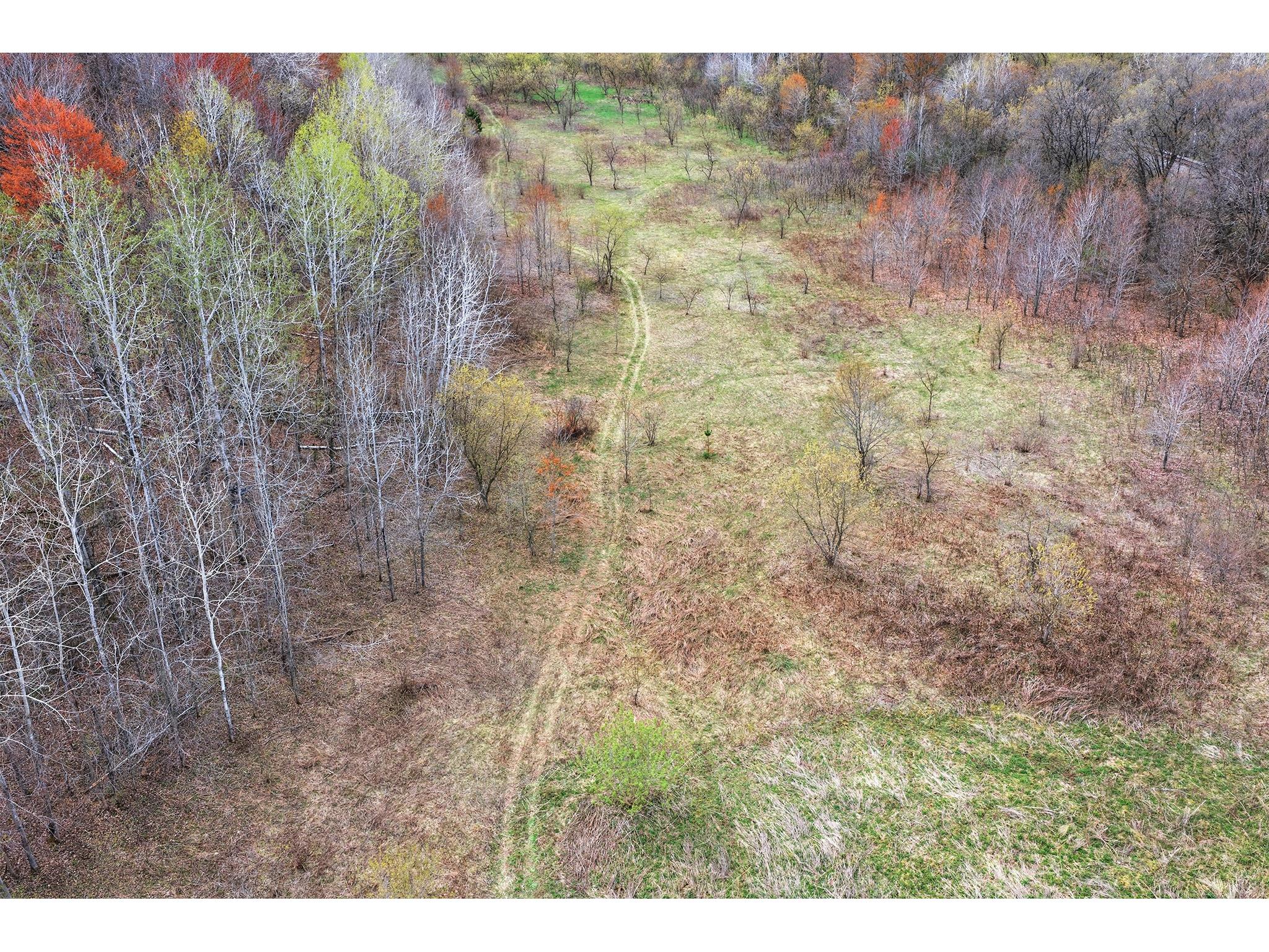 31.69 Acres 80th Avenue Colfax WI 54730 1600517 image33