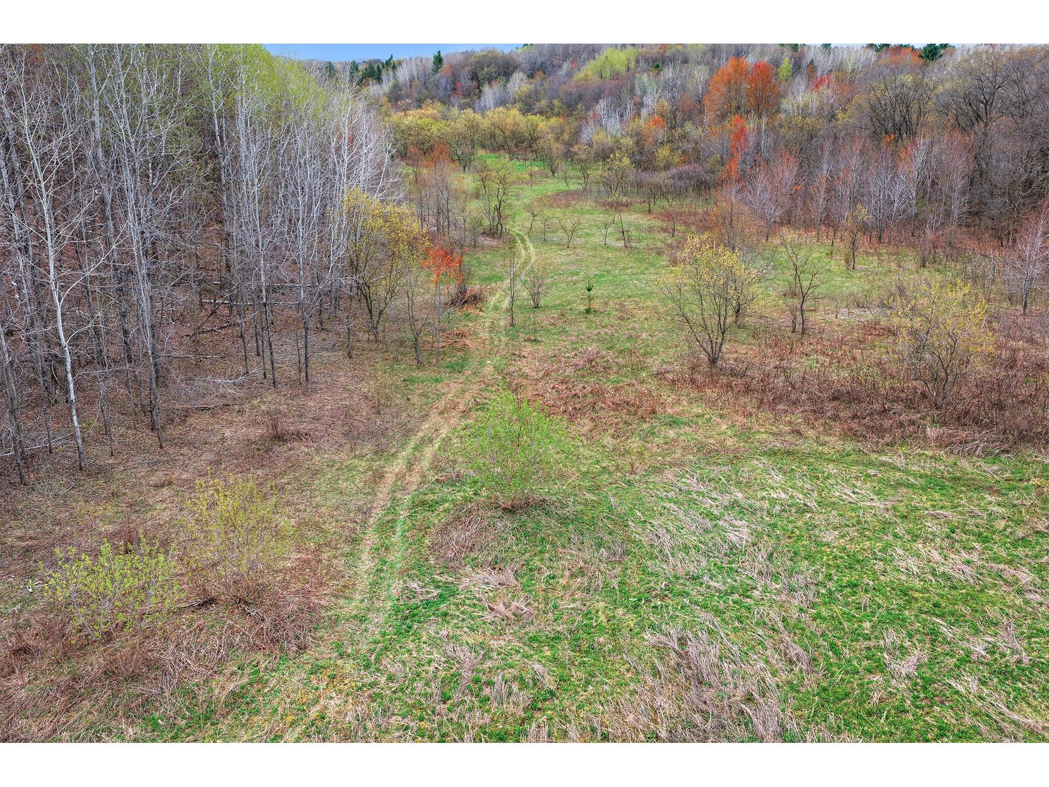 31.69 Acres 80th Avenue Colfax WI 54730 1600517 image34