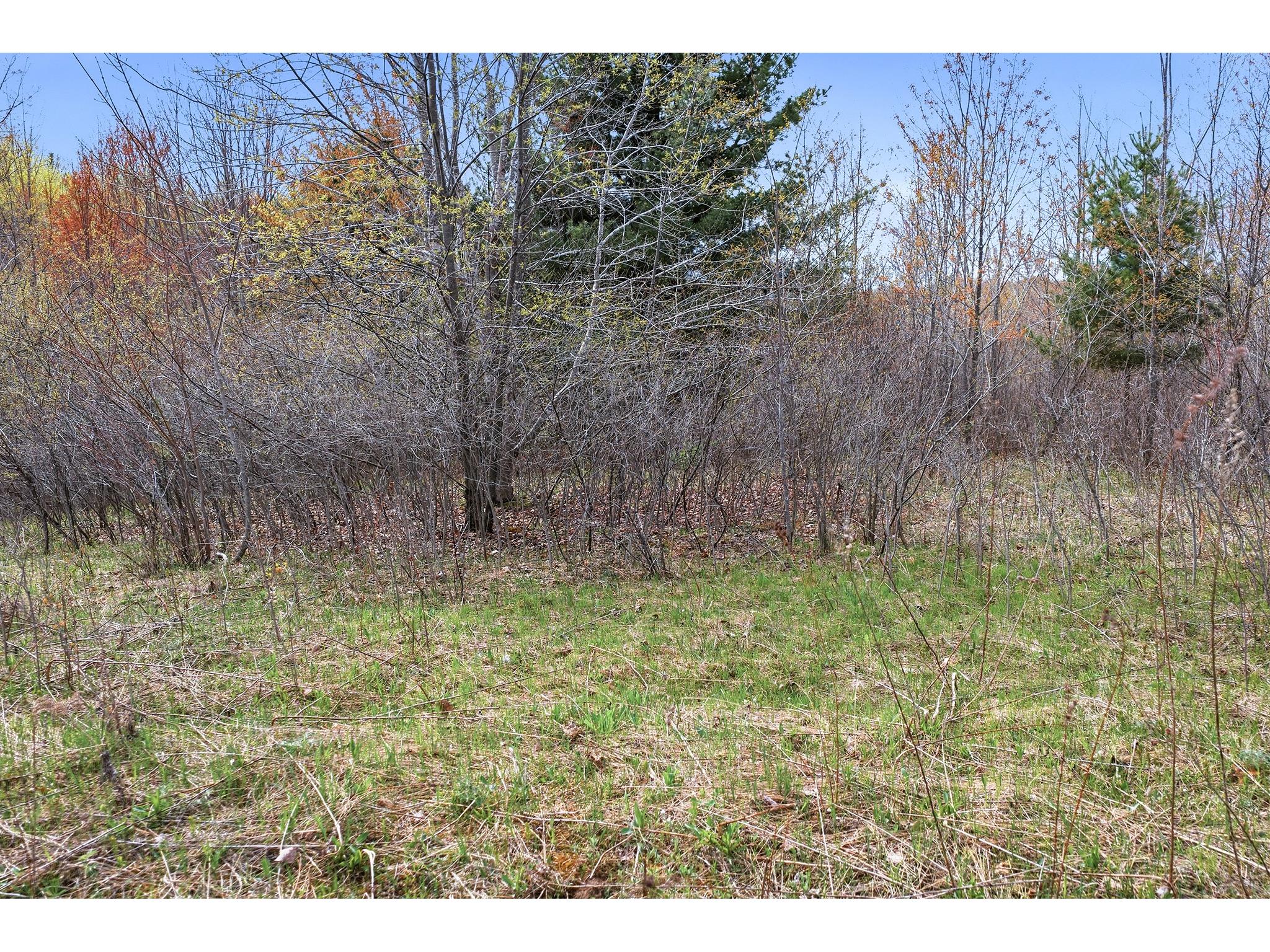 31.69 Acres 80th Avenue Colfax WI 54730 1600517 image39