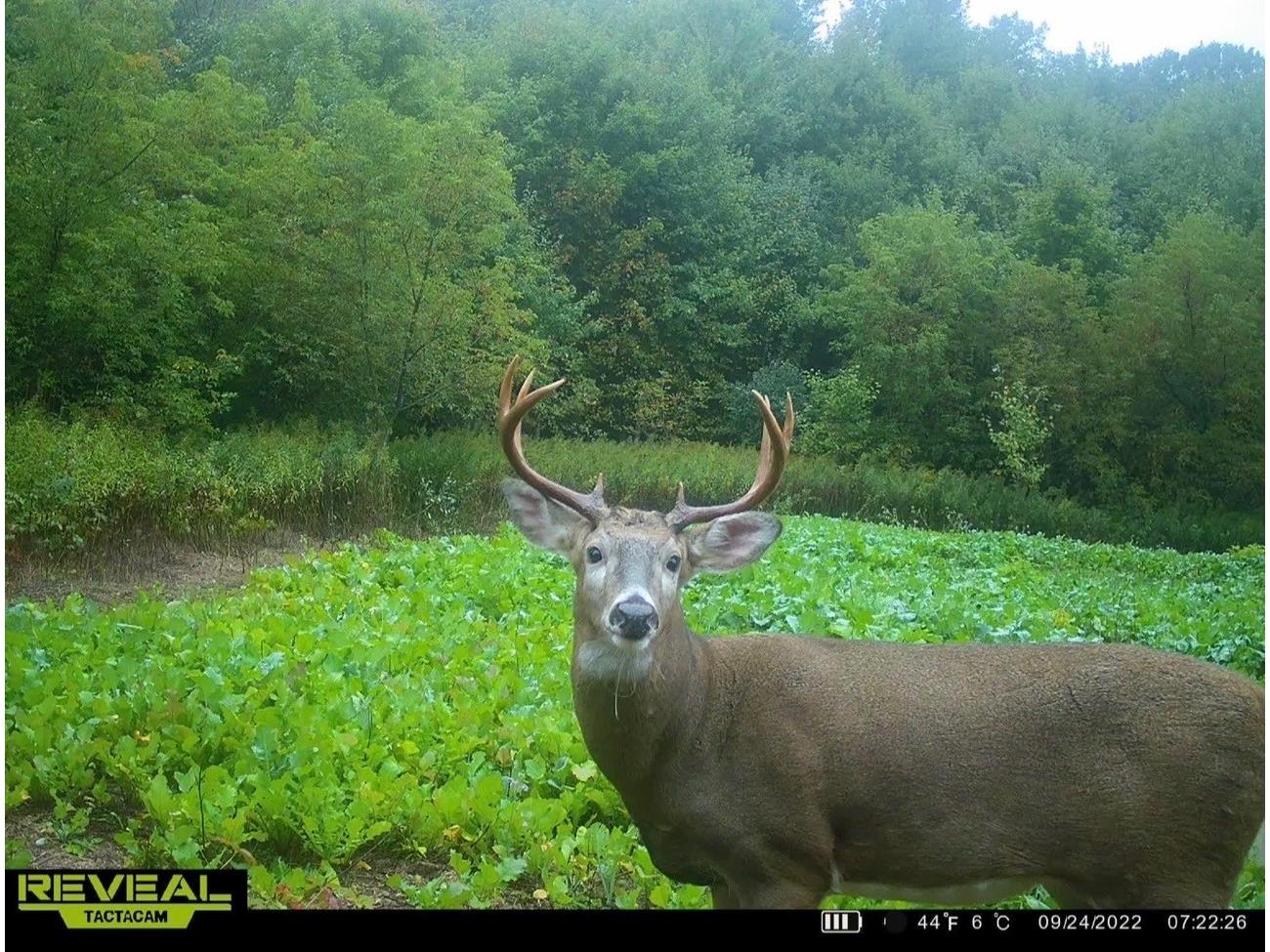 31.69 Acres 80th Avenue Colfax WI 54730 1600517 image56