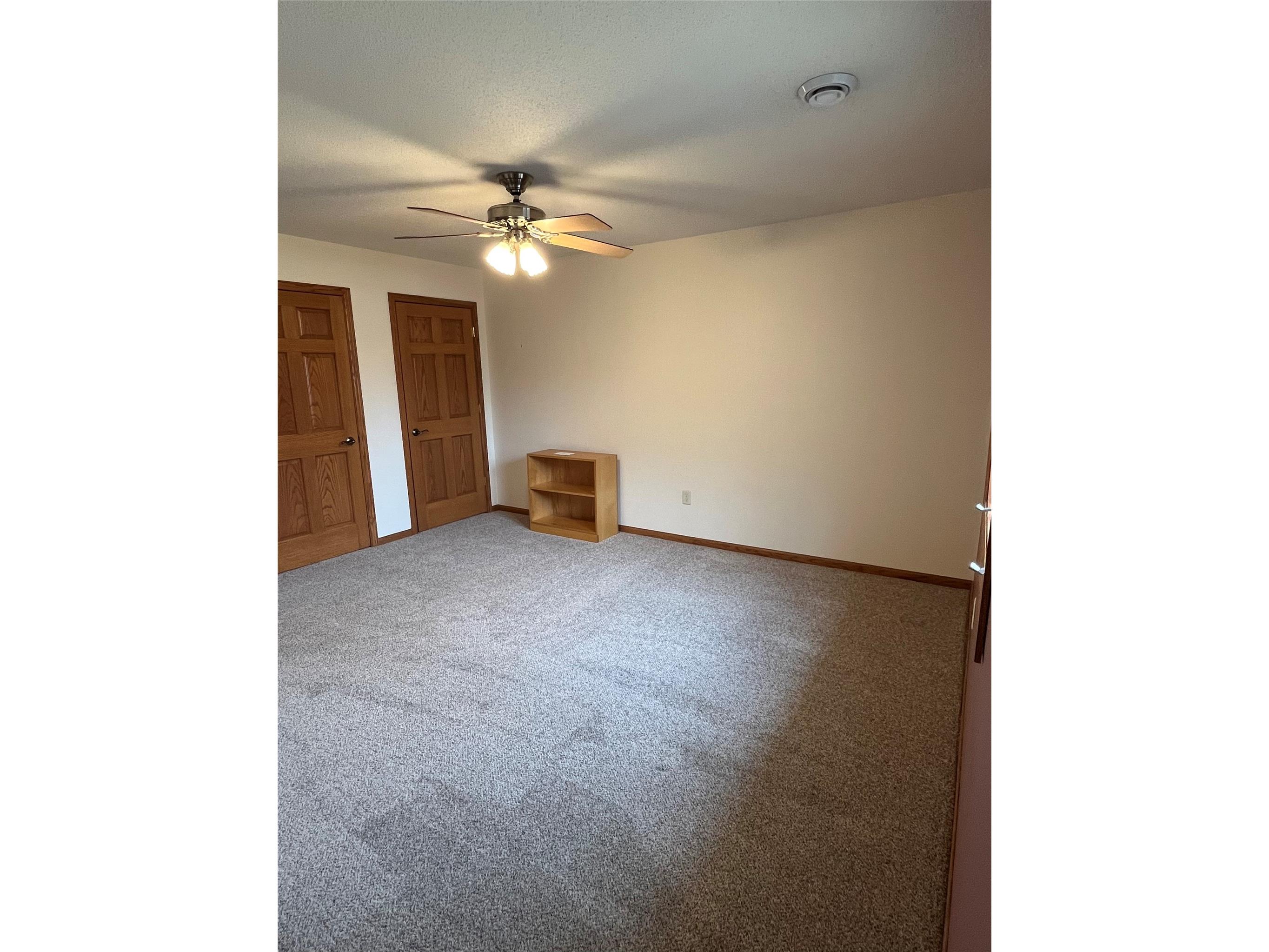 310 Willink Drive Baldwin WI 54002 1598360 image6