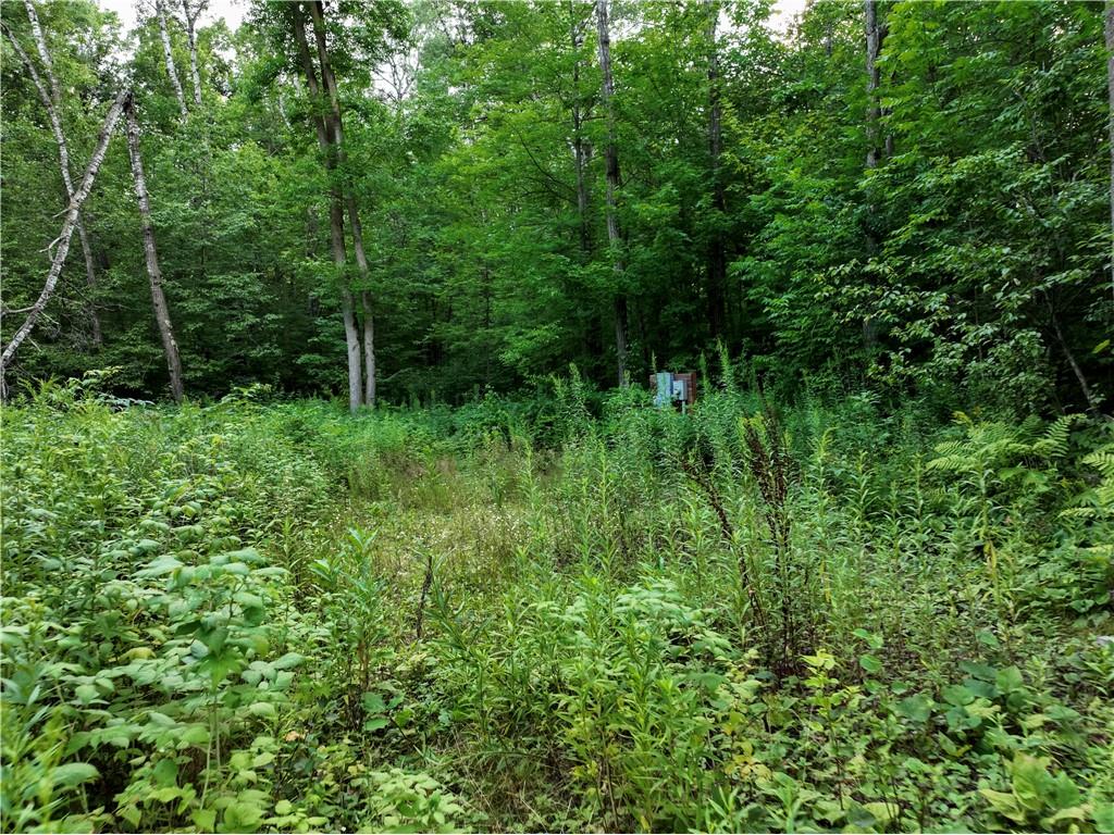 313 1/4 Street Rice Lake WI 54868 1597326 image4