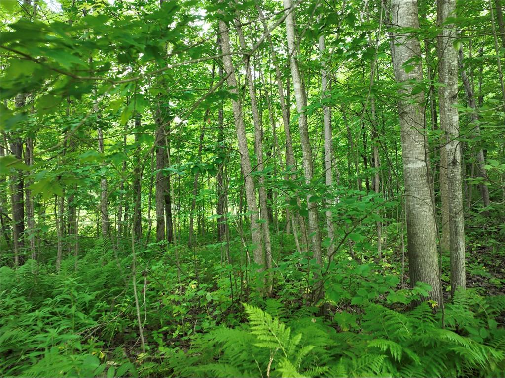 313 1/4 Street Rice Lake WI 54868 1597326 image6