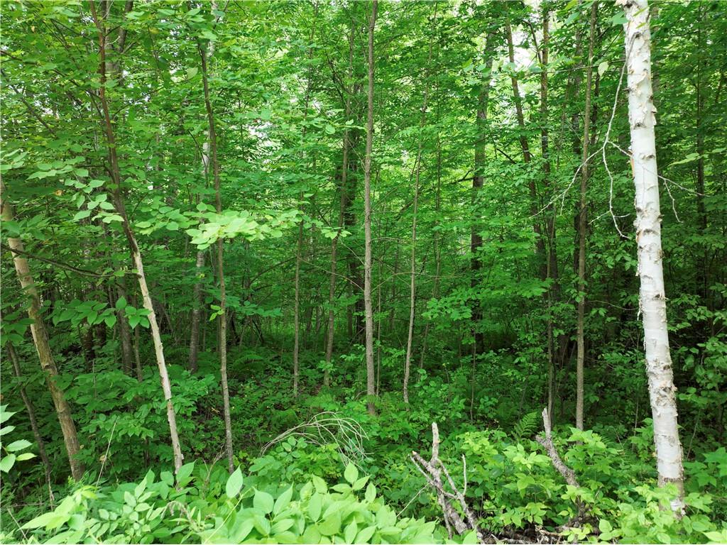 313 1/4 Street Rice Lake WI 54868 1597326 image9