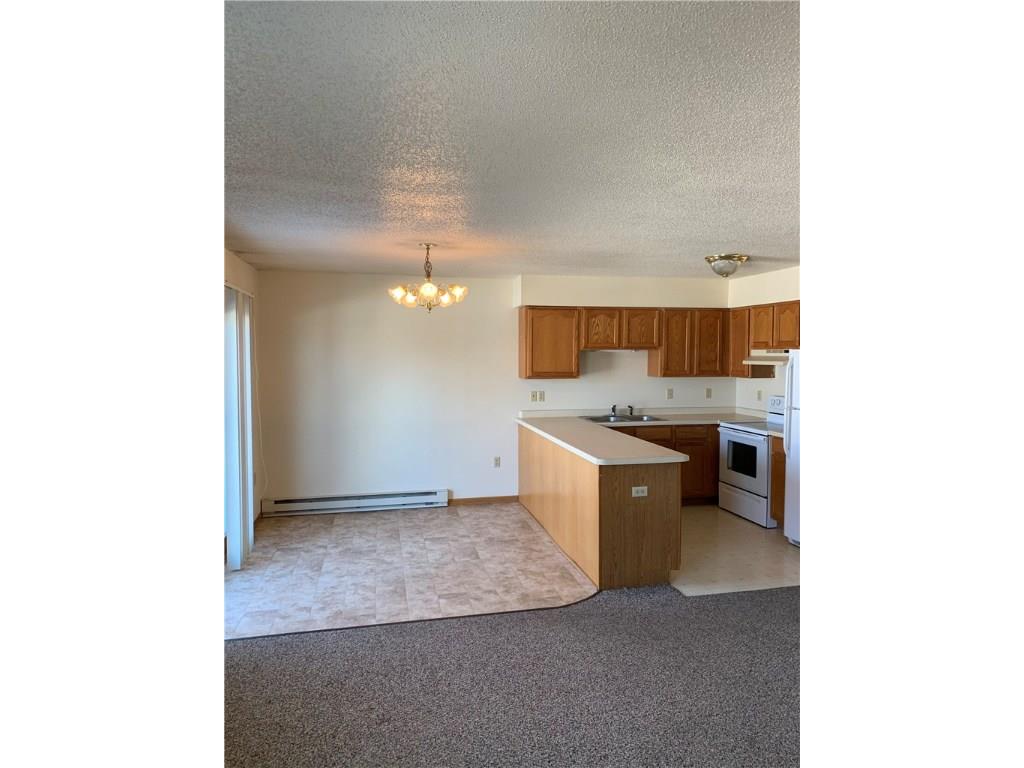 315 Kruger Avenue #1 Cameron WI 54822 1546188 image2