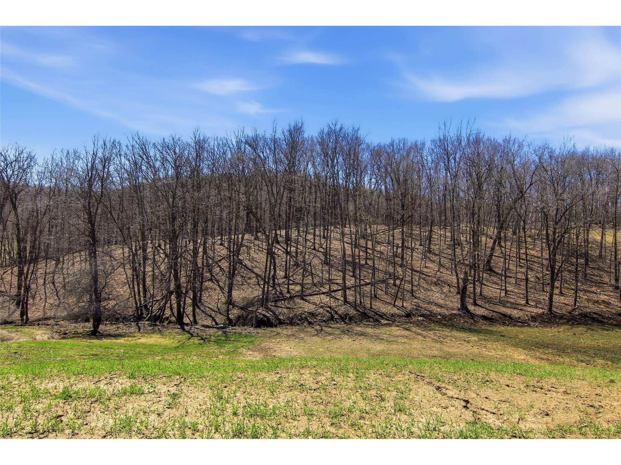 3159 200th Avenue Glenwood City WI 54013 1600028 image42