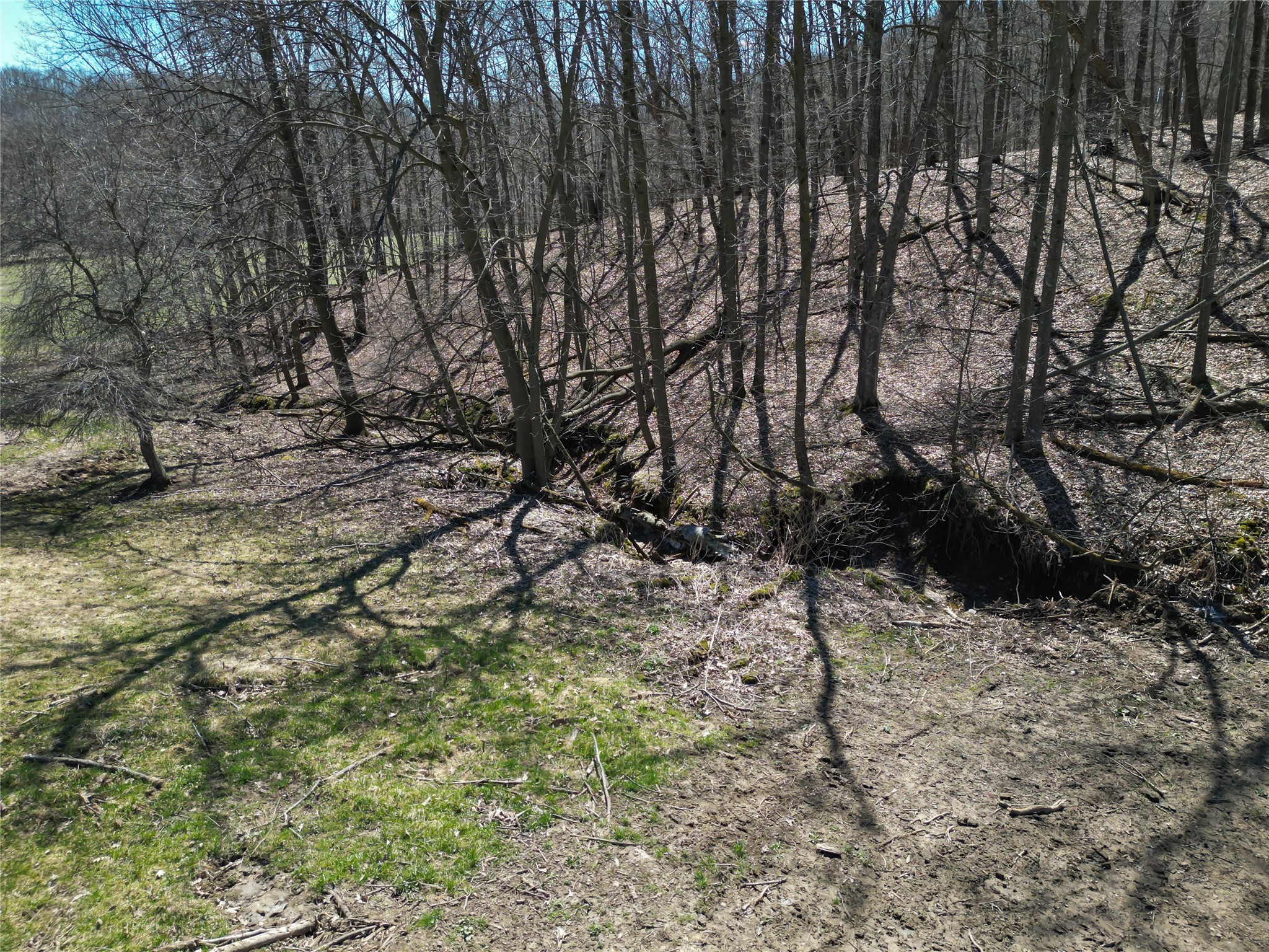 3159 200th Avenue Glenwood City WI 54013 1600028 image43