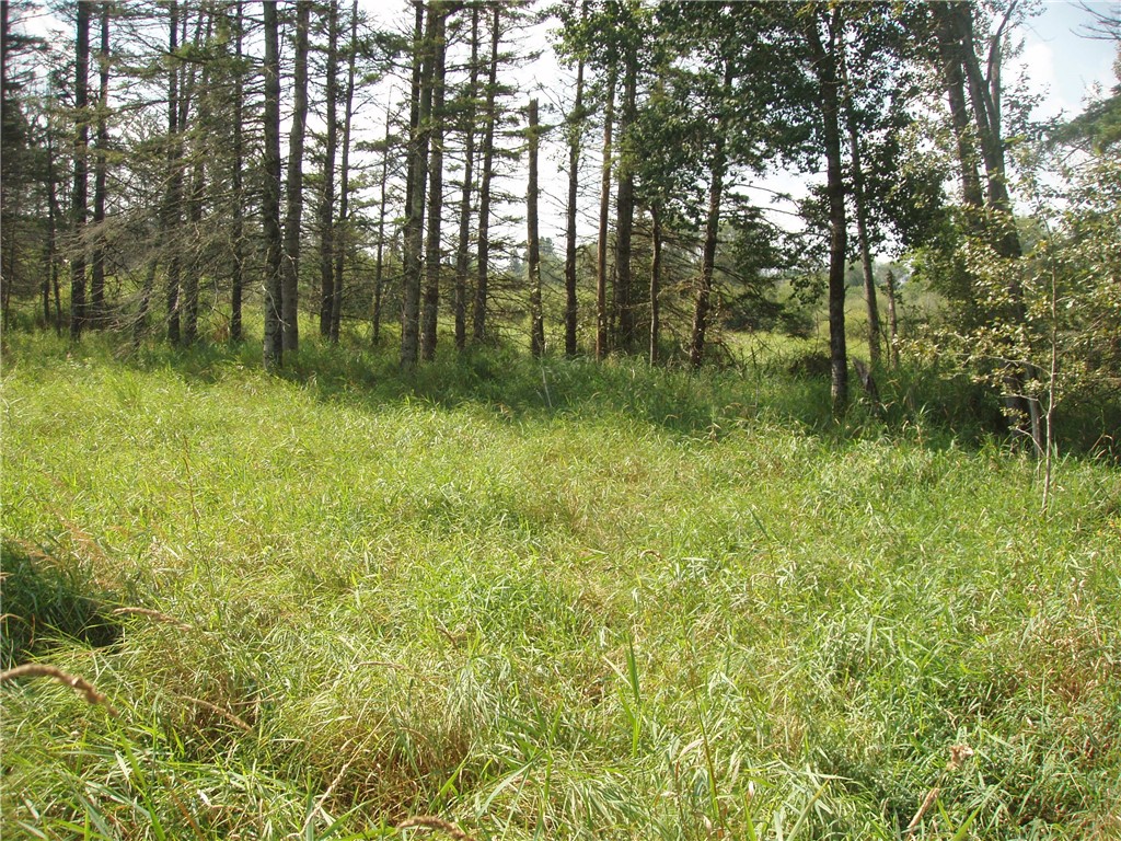 316 E Illinois Street Butternut WI 54514 1595209 image1