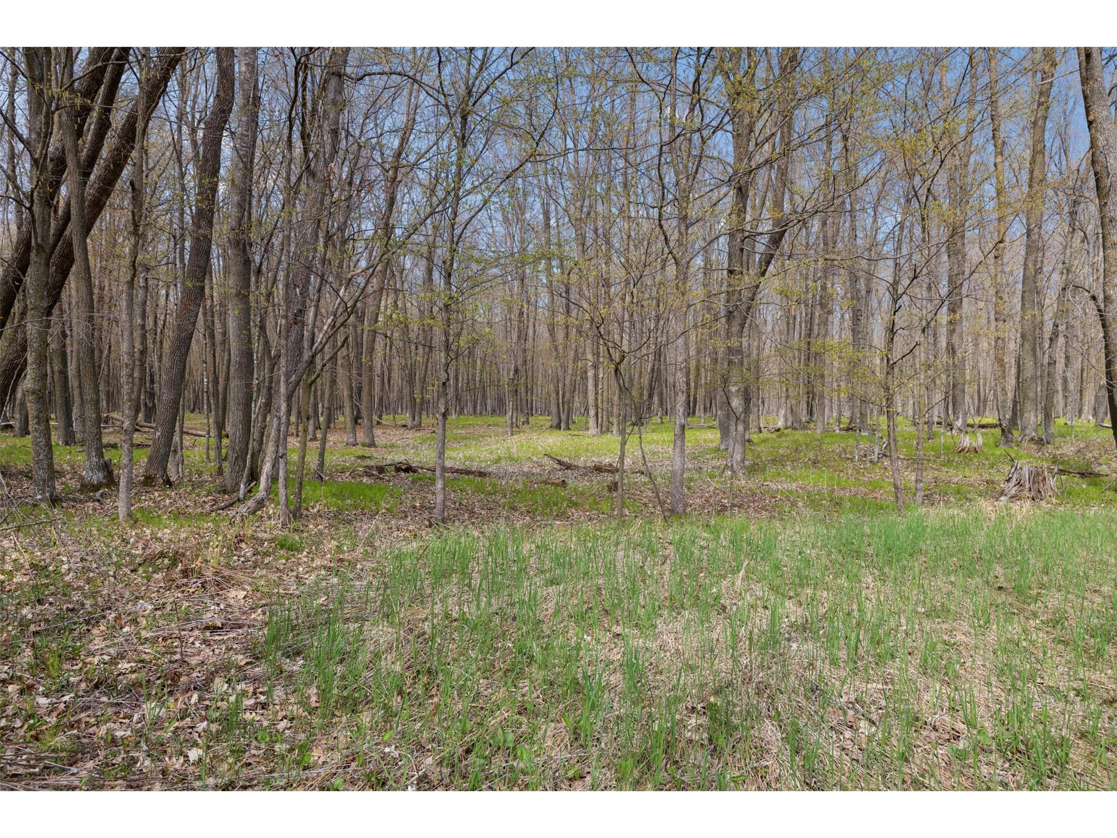 316 Wennenberg Shore Drive Shell Lake WI 54871 - Round Lake 1599415 image23