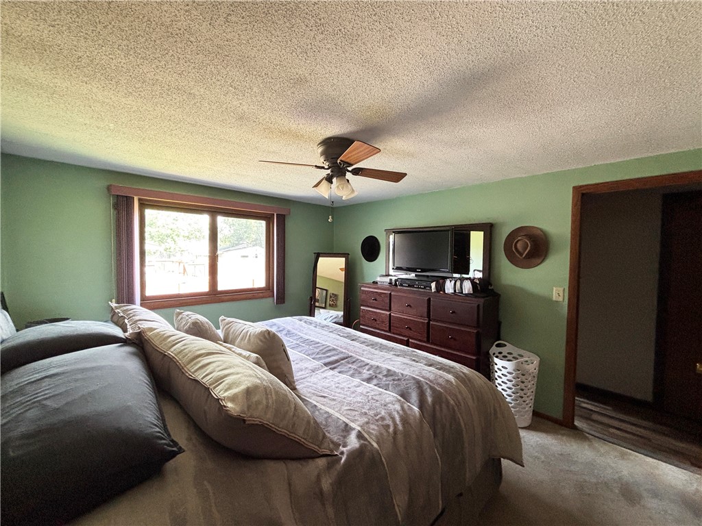 317 S 4th Street Cameron WI 54822 1593310 image25