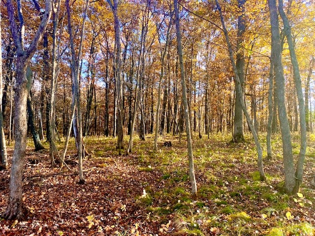 3181 County Rd Q Clear Lake WI 54005 1597386 image10