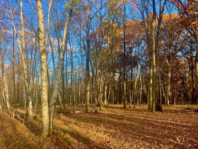 3181 County Rd Q Clear Lake WI 54005 1597386 image11