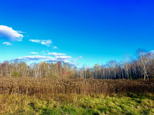 3181 County Rd Q Clear Lake WI 54005 1597386 image6