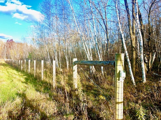 3181 County Rd Q Clear Lake WI 54005 1597386 image7