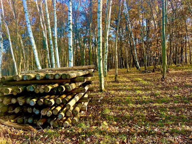 3181 County Rd Q Clear Lake WI 54005 1597386 image8