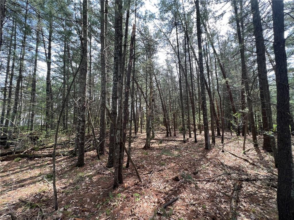 325 W Harrison Avenue Grantsburg WI 54840 1573035 image1