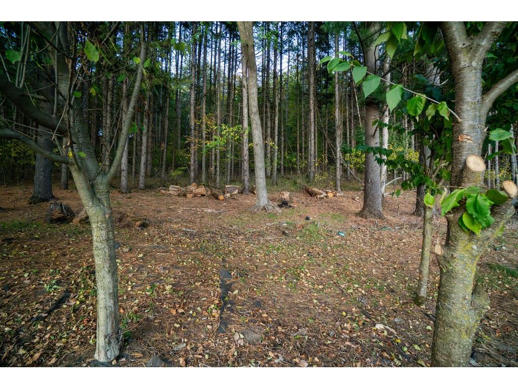 328 Nordveien Drive Boyceville WI 54725 1596424 image45