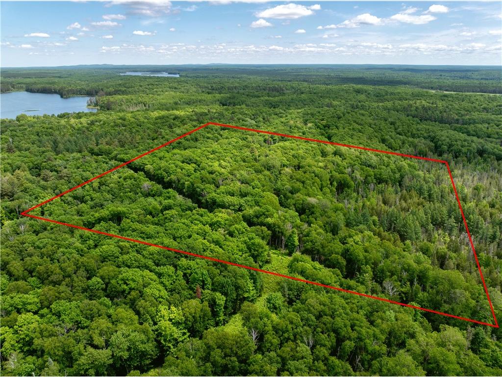 33 Acres Buffalo Lake Road Cable WI 54821 1592897 image1