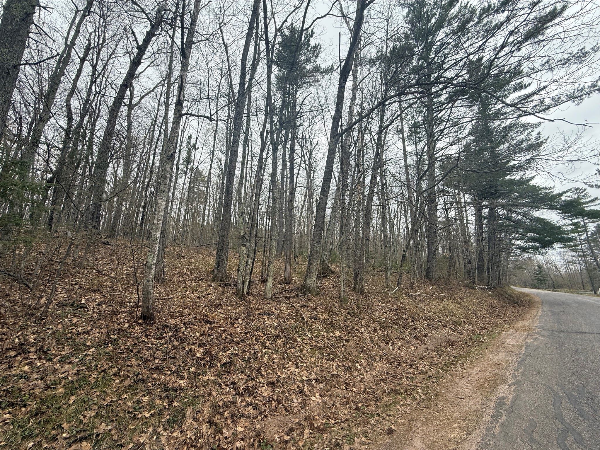 33 Acres Partridge Lane Hayward WI 54843 - Placid Lake 1601080 image10