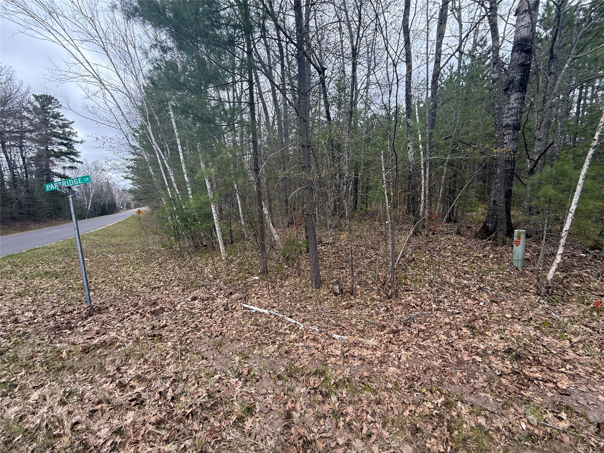 33 Acres Partridge Lane Hayward WI 54843 - Placid Lake 1601080 image15