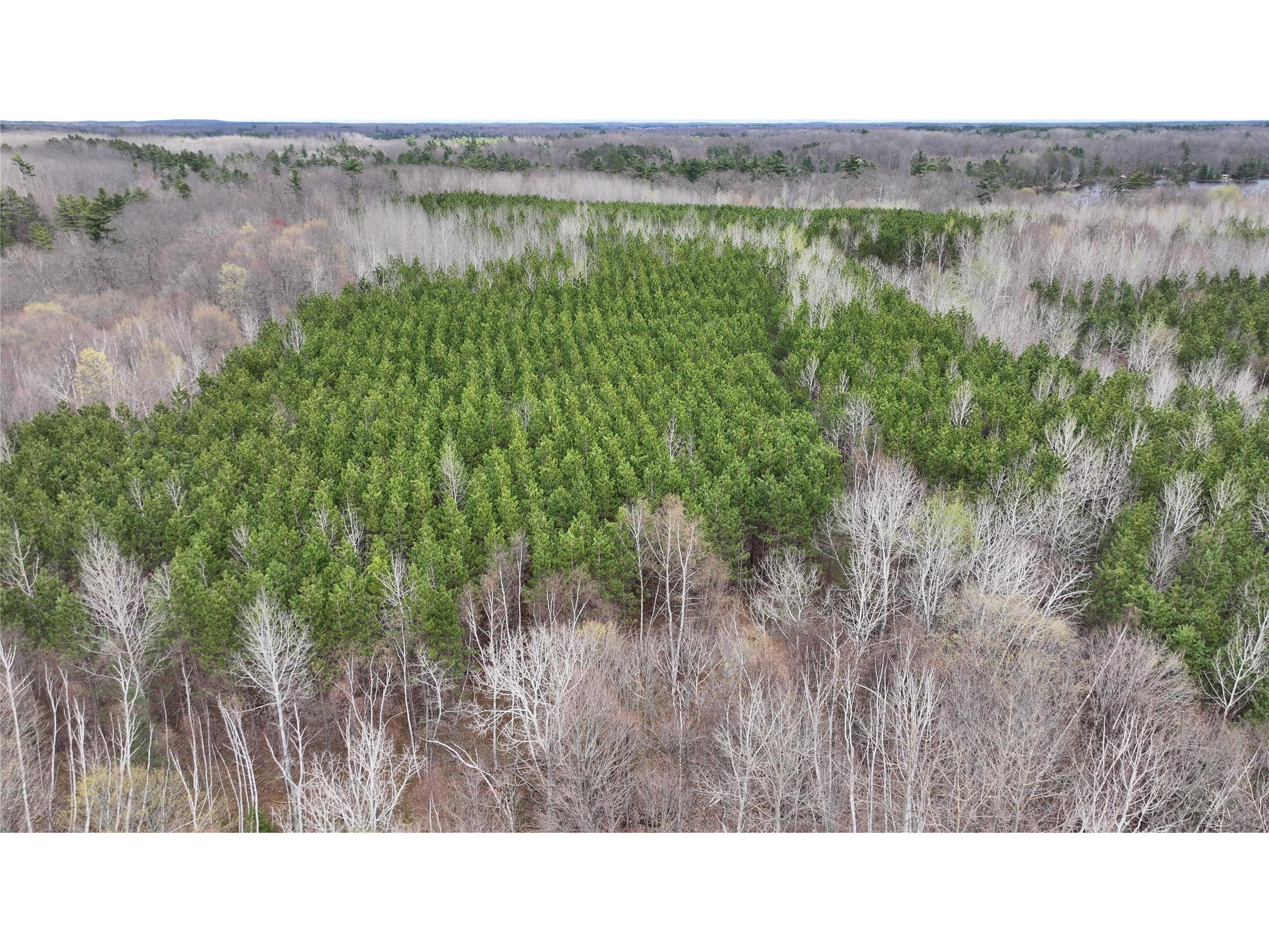 33 Acres Partridge Lane Hayward WI 54843 - Placid Lake 1601080 image7