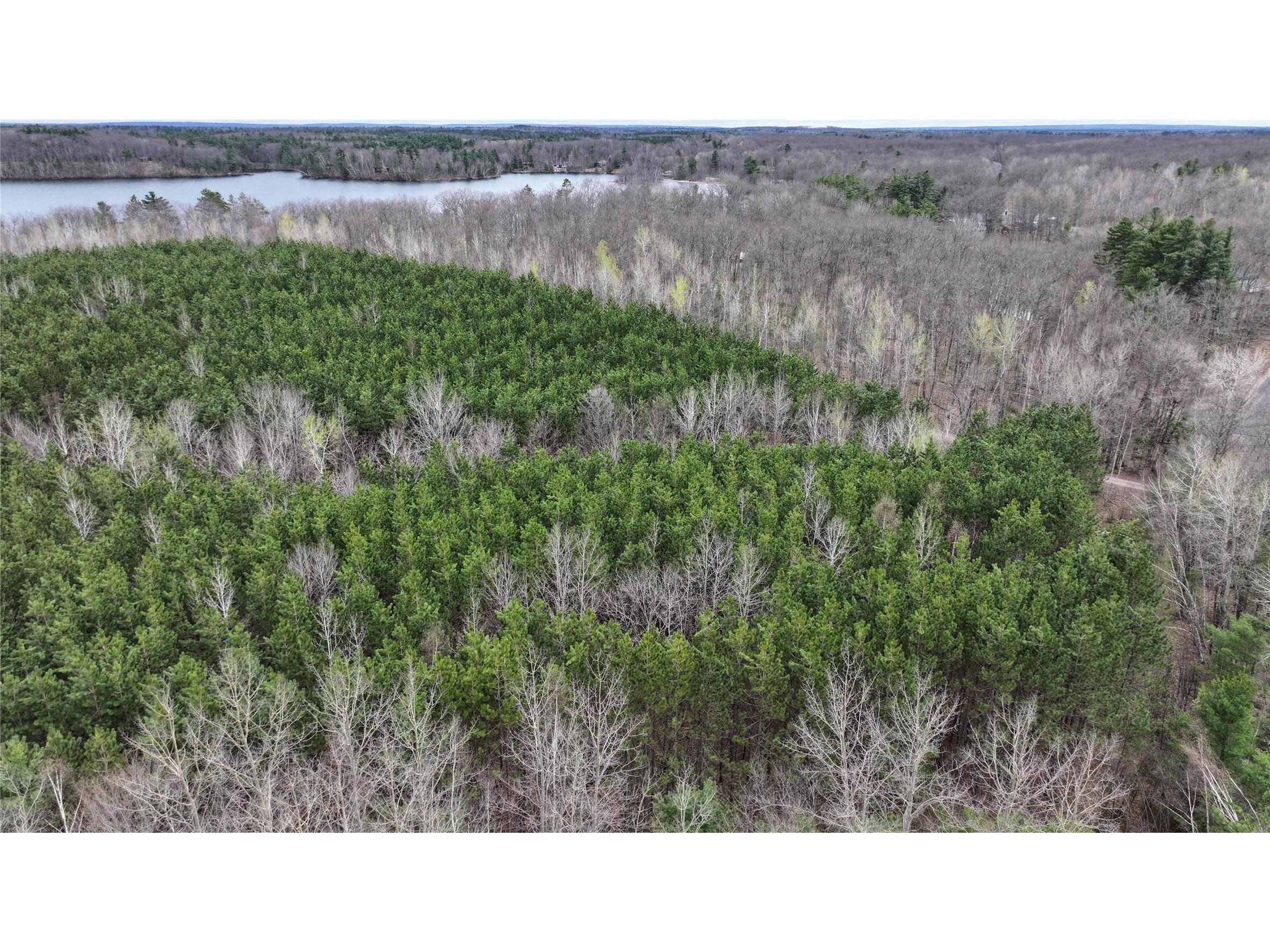 33 Acres Partridge Lane Hayward WI 54843 - Placid Lake 1601080 image8
