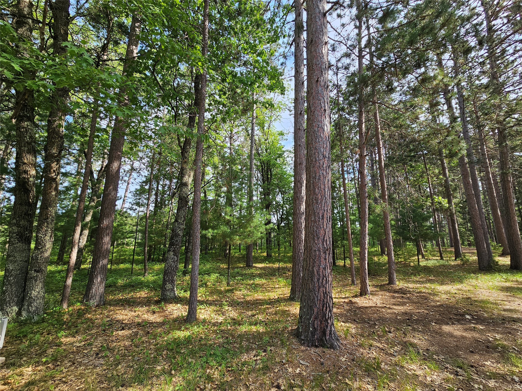 3307 State Road 77 Danbury WI 54830 1602613 image45