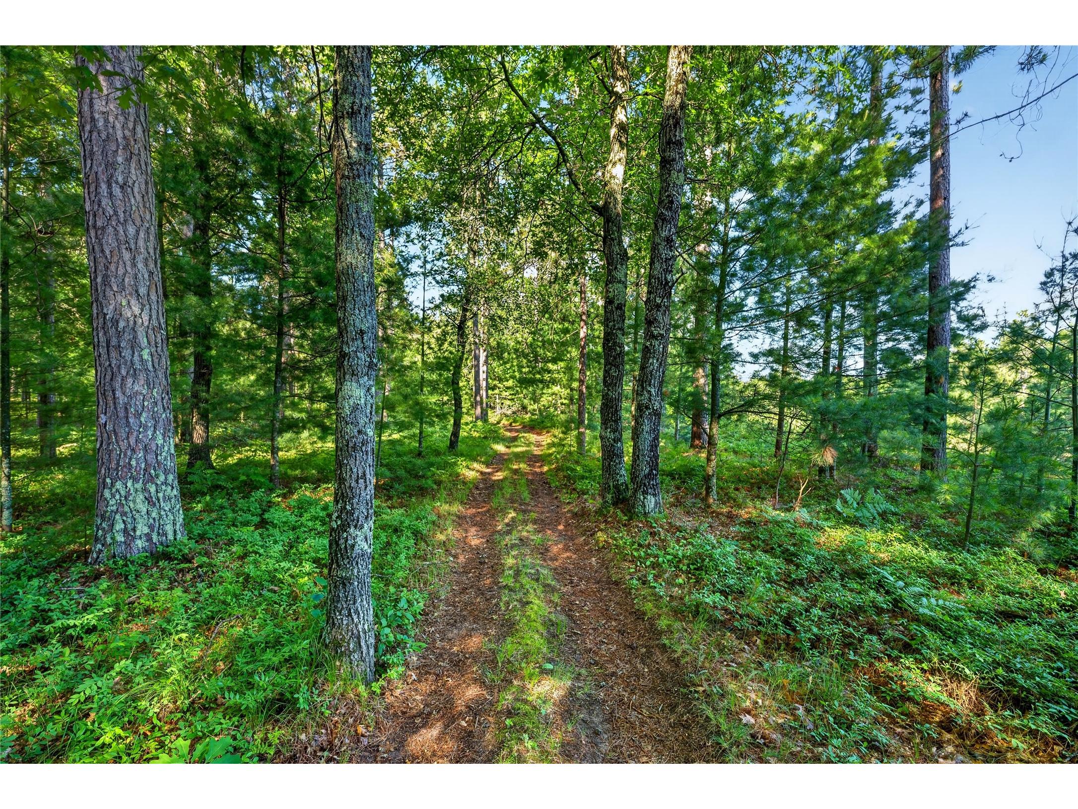 3307 State Road 77 Danbury WI 54830 1602613 image46
