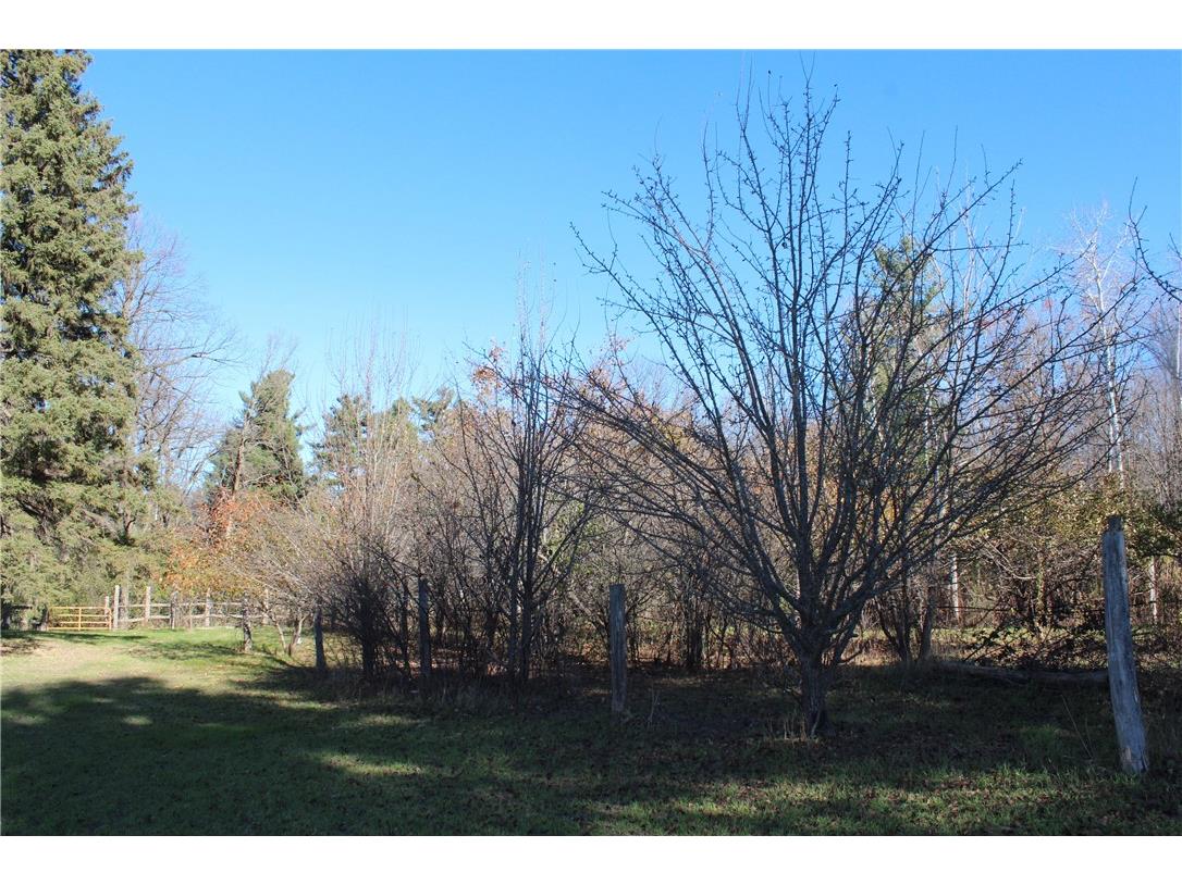 3341 130th Street Frederic WI 54837 - Wood River 1596996 image28