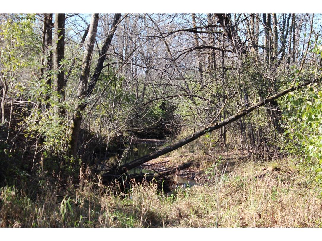 3341 130th Street Frederic WI 54837 - Wood River 1596996 image35