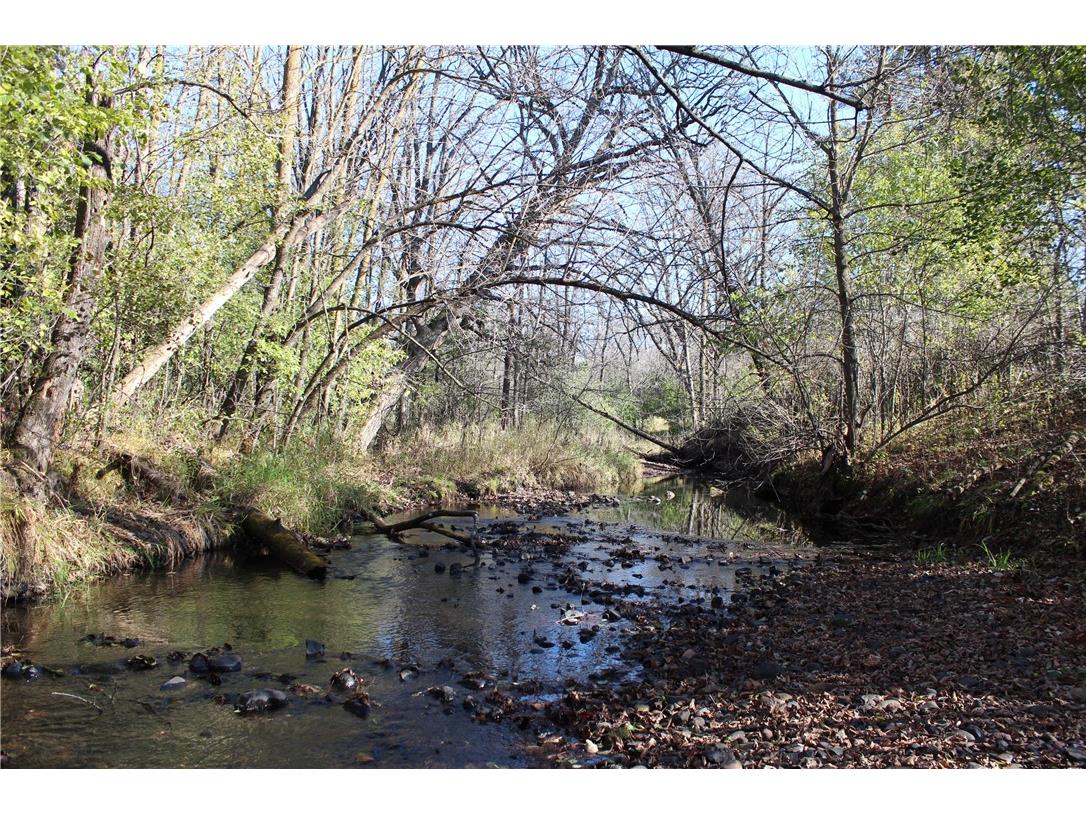 3341 130th Street Frederic WI 54837 - Wood River 1596996 image38