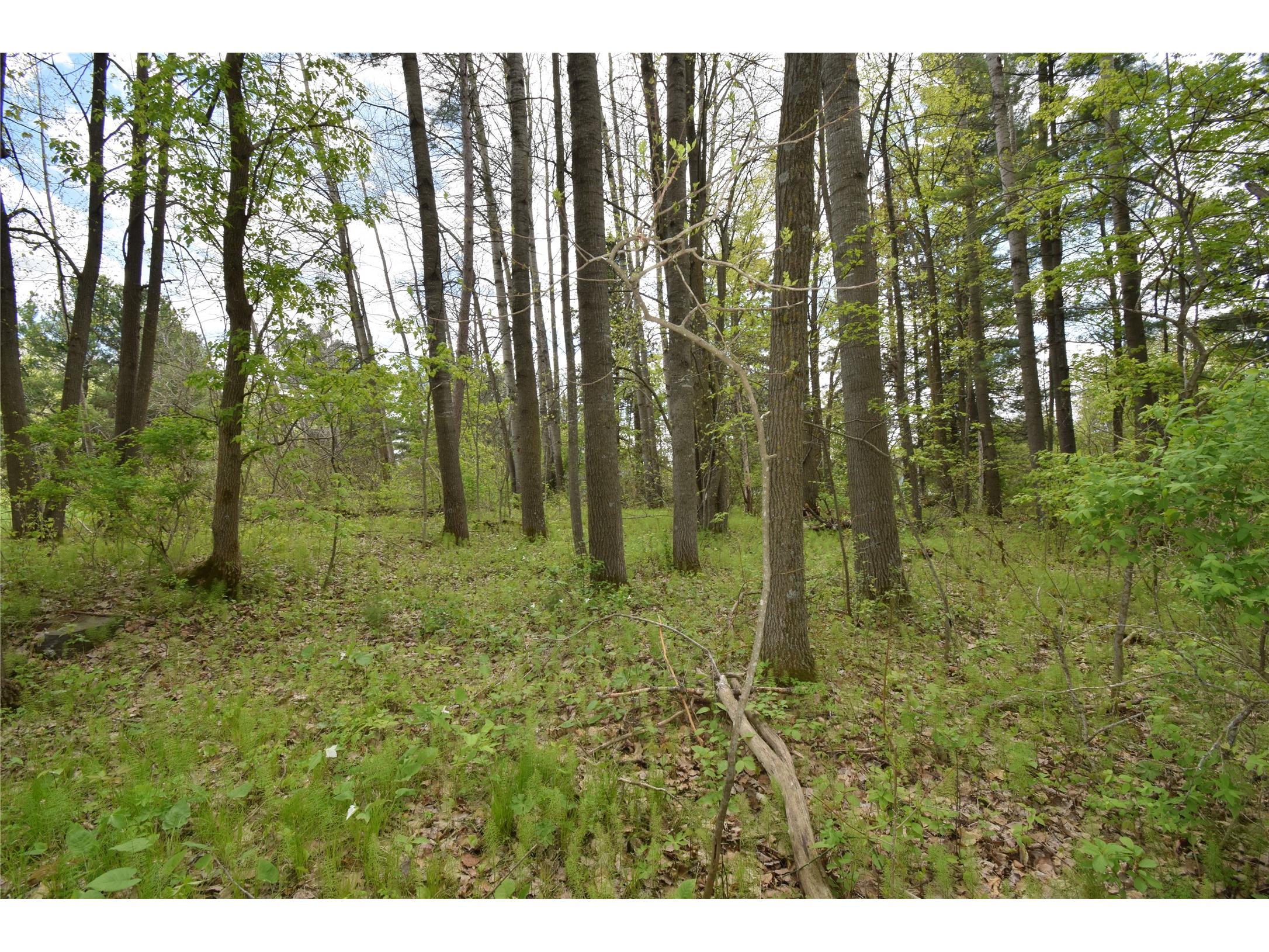 3346 65th Street Frederic WI 54837 1601472 image47