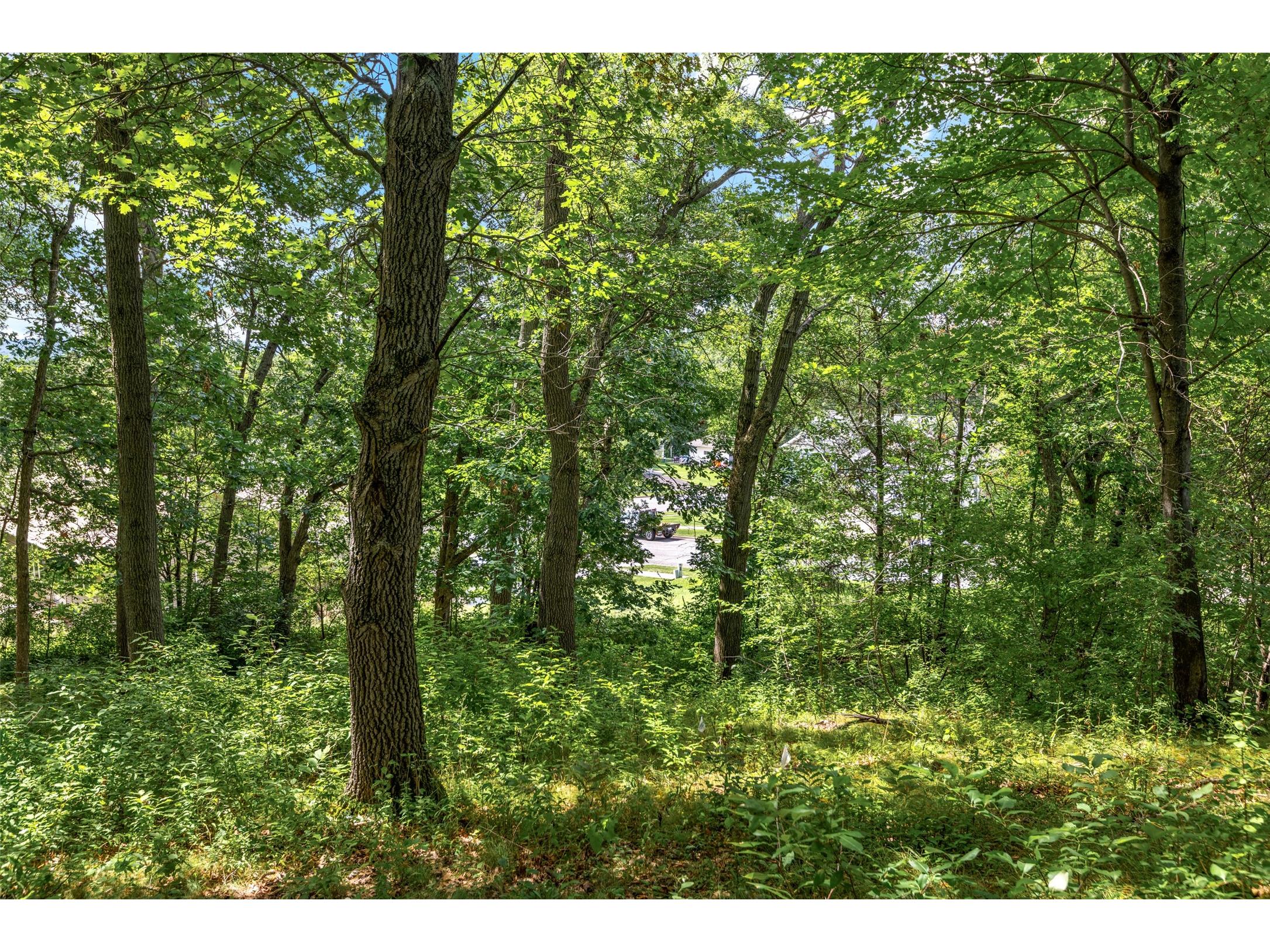 341 Monte Carlo Dr Eau Claire WI 54703 1599745 image8