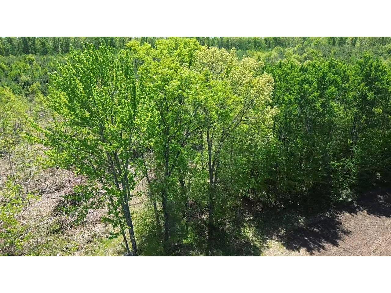 343X 5th Avenue Spooner WI 54801 1601653 image10