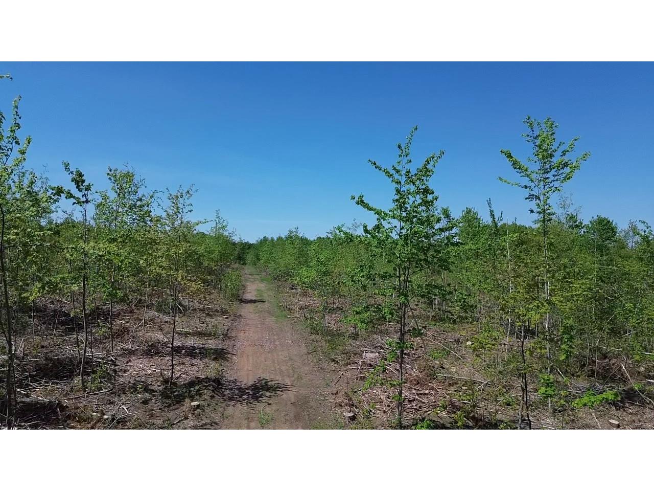 343X 5th Avenue Spooner WI 54801 1601653 image11
