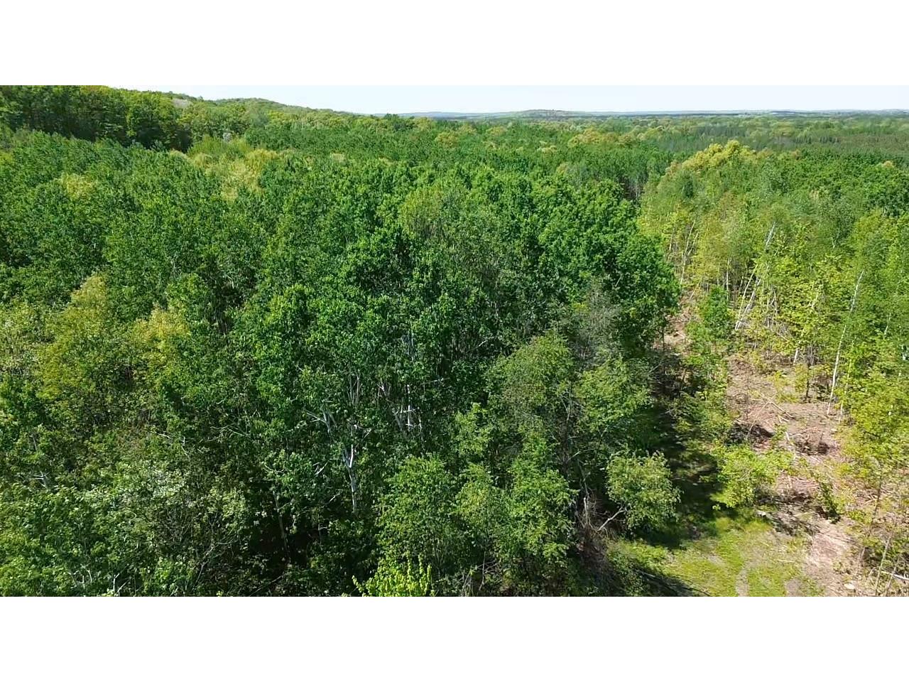 343X 5th Avenue Spooner WI 54801 1601653 image16