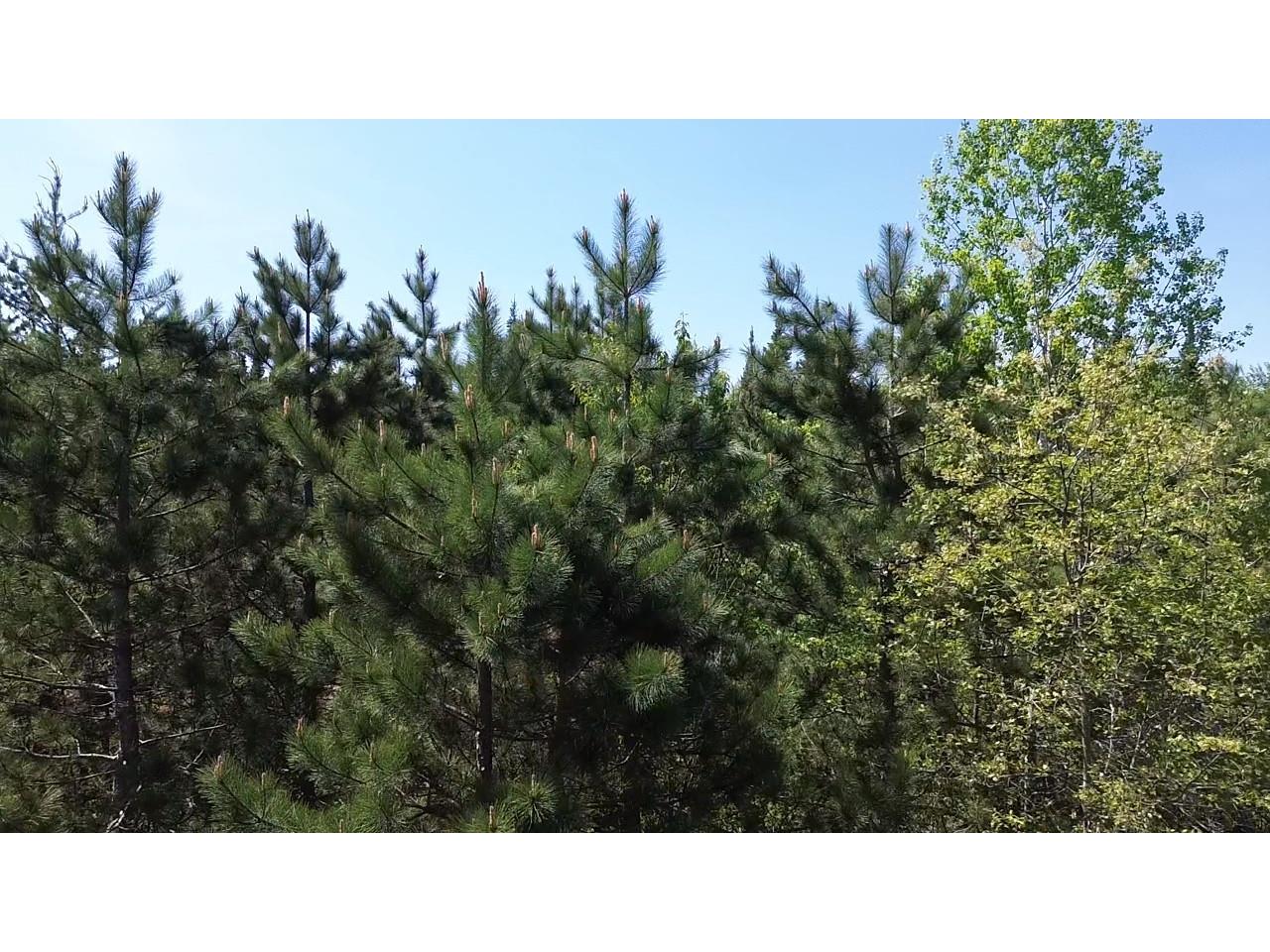 349X 5th Avenue Spooner WI 54801 1601647 image13