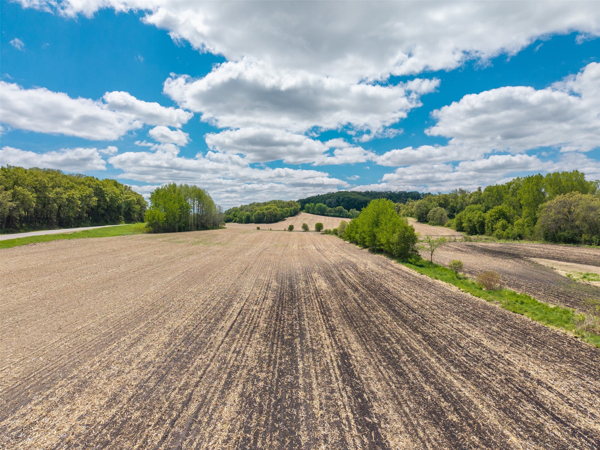 35 acres Old Town Road Mondovi WI 54755 1601470 image10