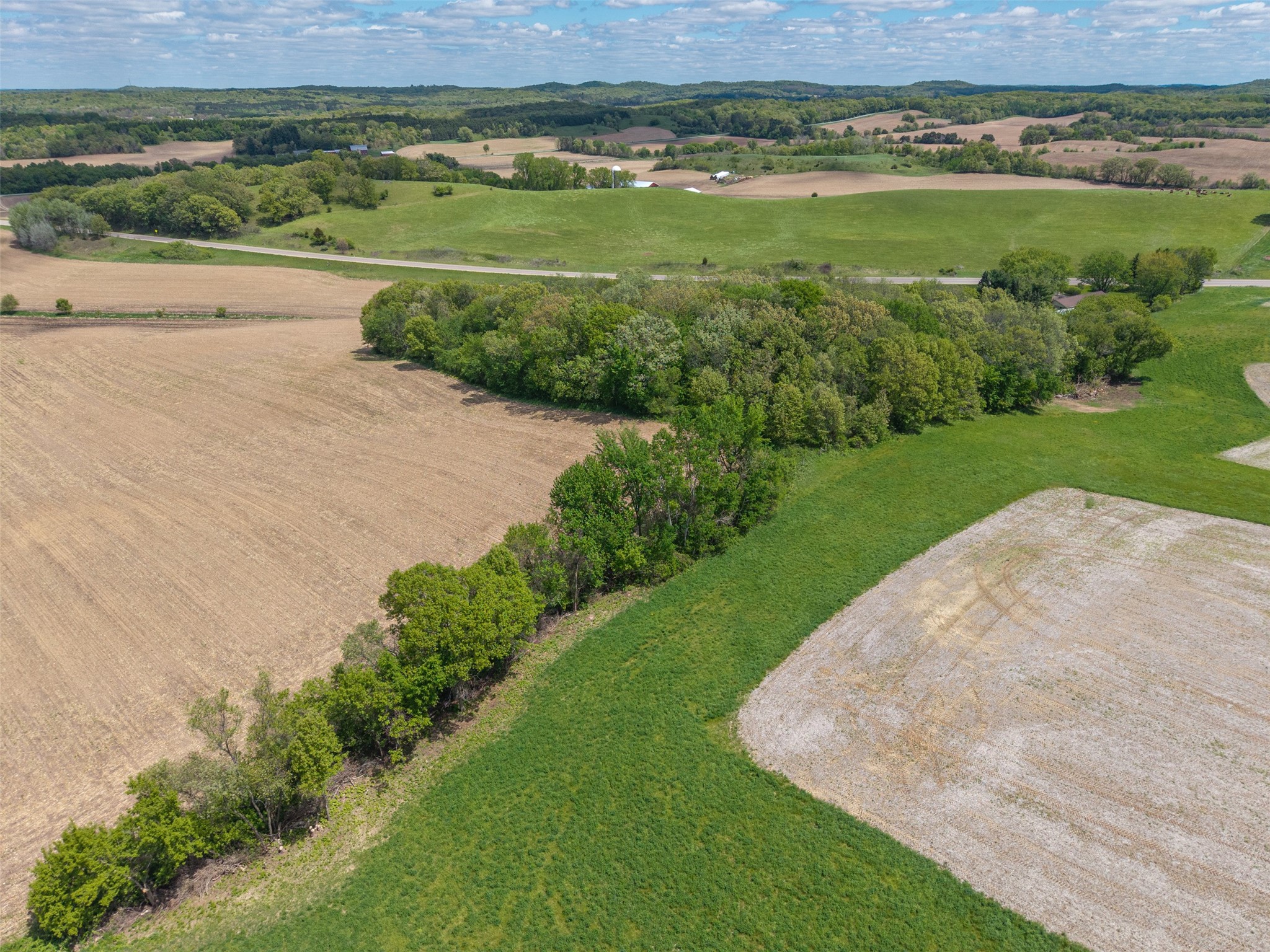 35 acres Old Town Road Mondovi WI 54755 1601470 image12
