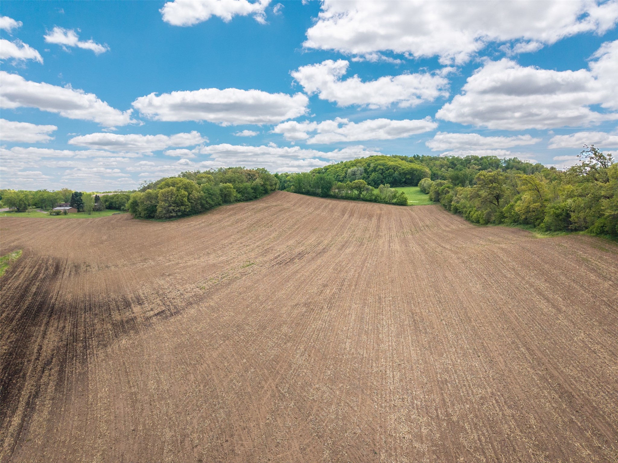35 acres Old Town Road Mondovi WI 54755 1601470 image15