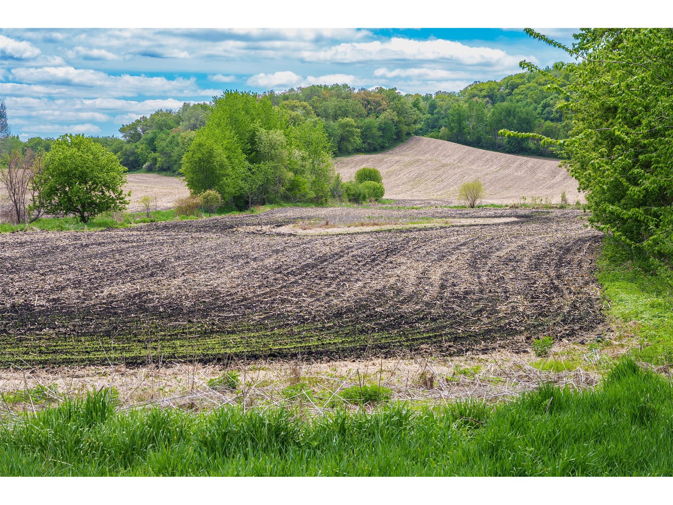 35 acres Old Town Road Mondovi WI 54755 1601470 image16
