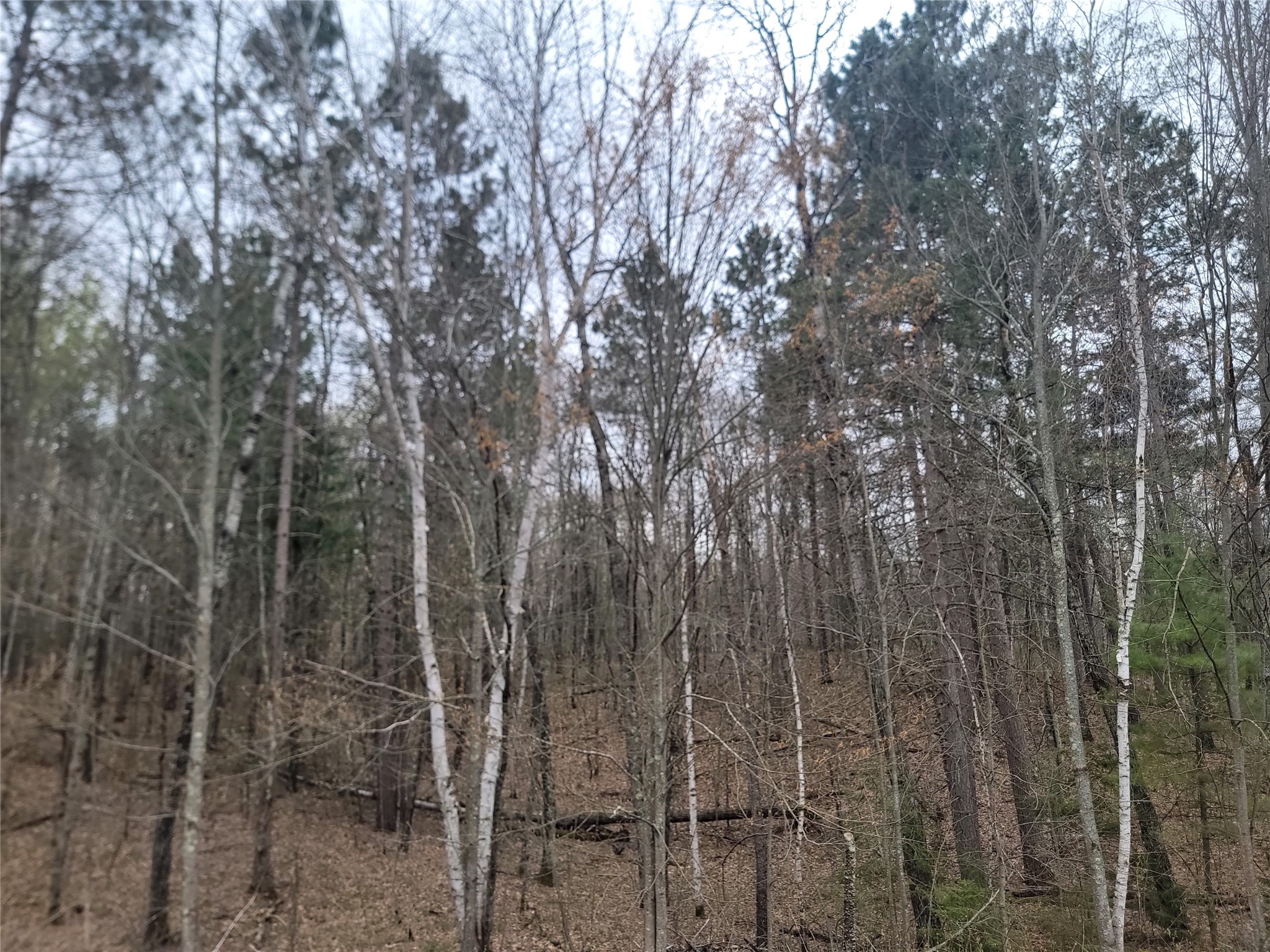 3598N Old J Road Winter WI 54896 1601670 image19