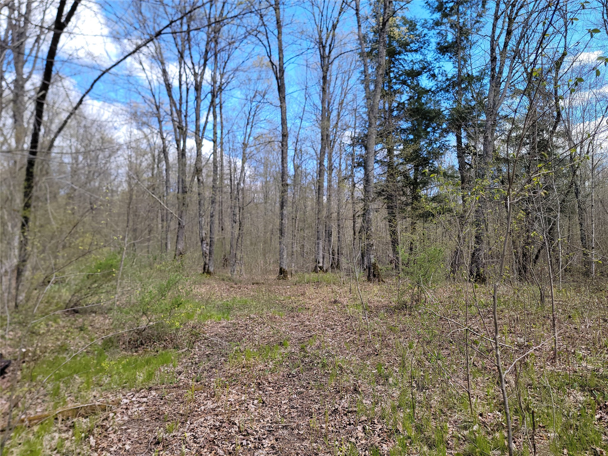3598N Old J Road Winter WI 54896 1601670 image20