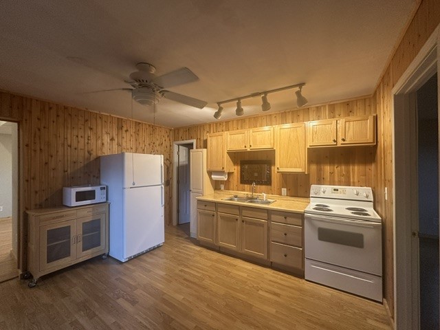3599 County Road A Webster WI 54893 - Pine 1602555 image10