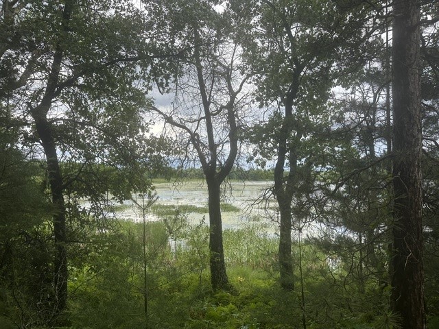 3599 County Road A Webster WI 54893 - Pine 1602555 image20