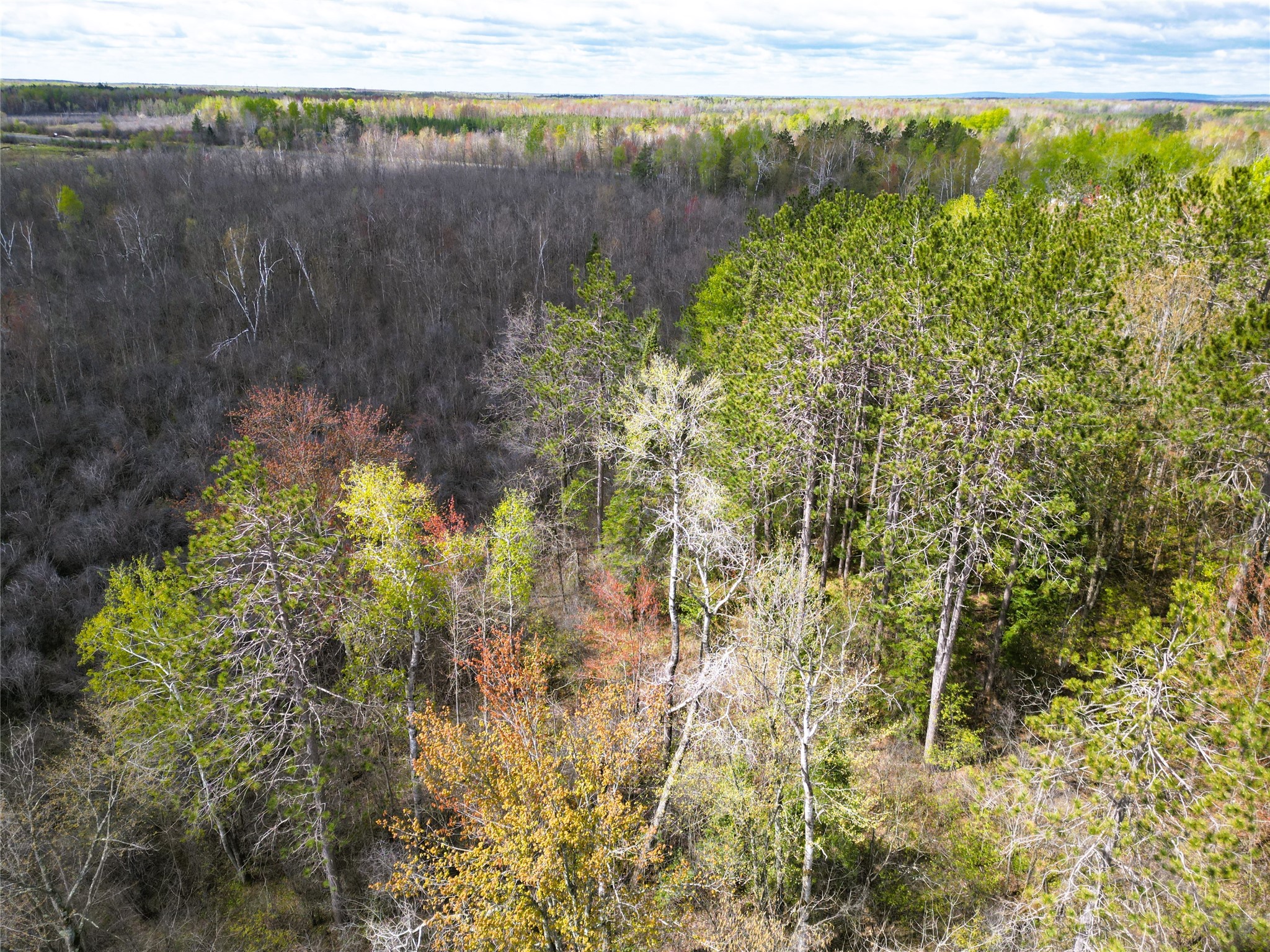 36.5 Acres E Cedarbrook Road Ladysmith WI 54848 1601172 image10