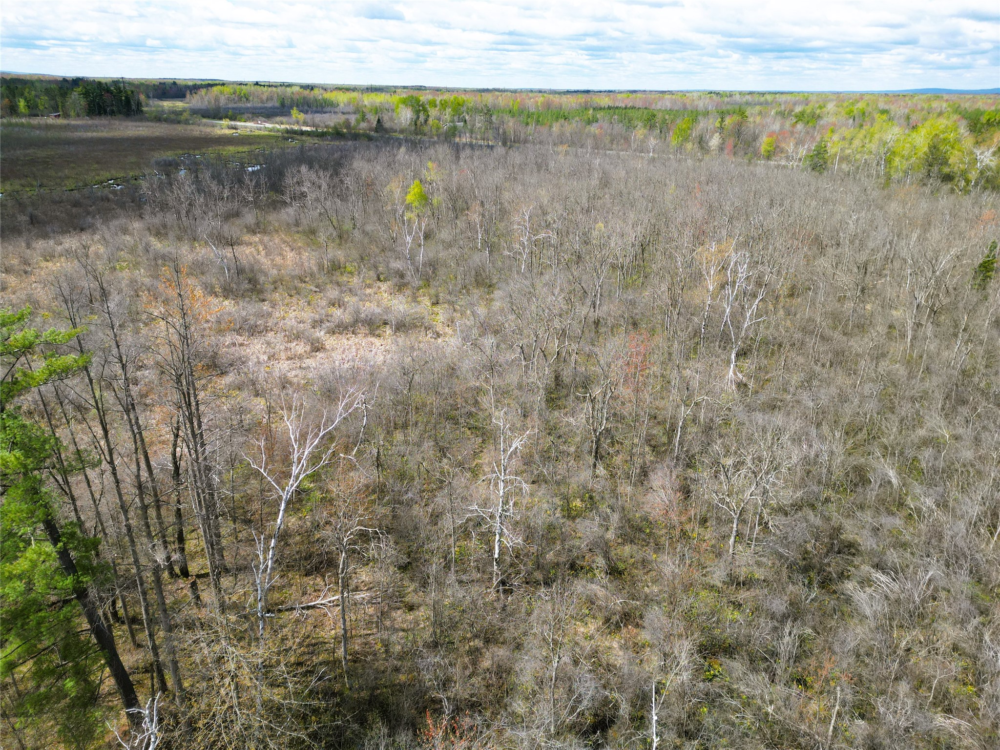 36.5 Acres E Cedarbrook Road Ladysmith WI 54848 1601172 image11